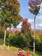 189 Oseetah Woods Road - Photo 53