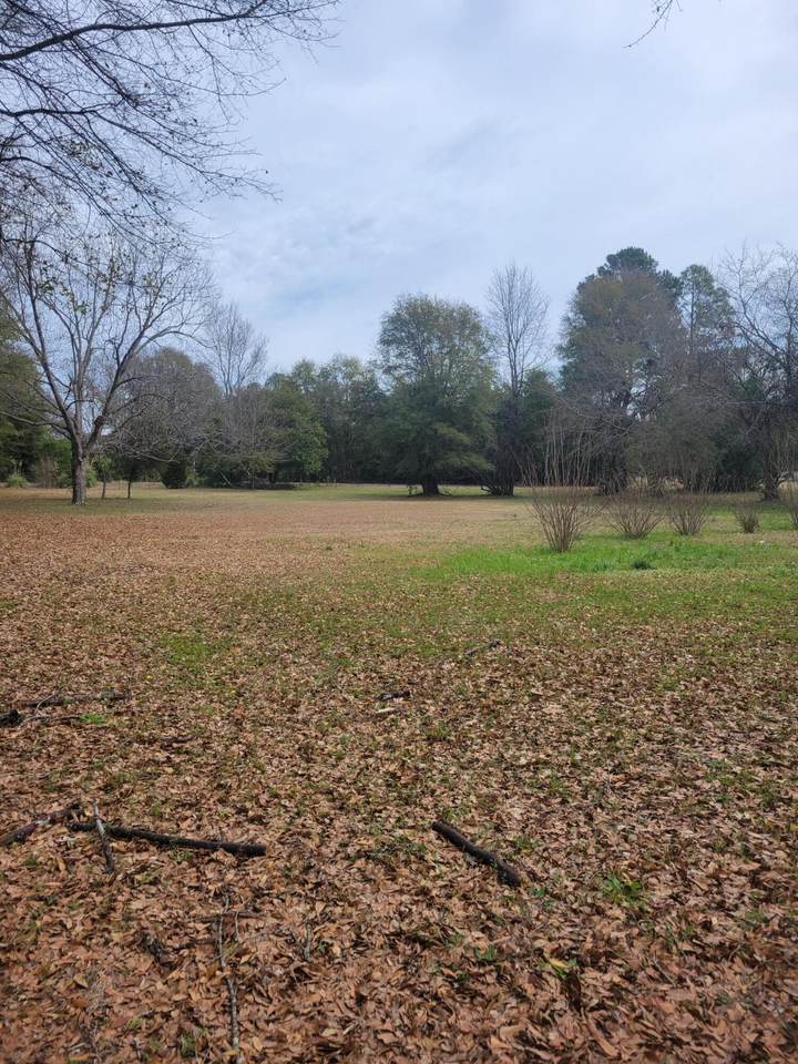 Tbd Dougherty Road - Photo 1