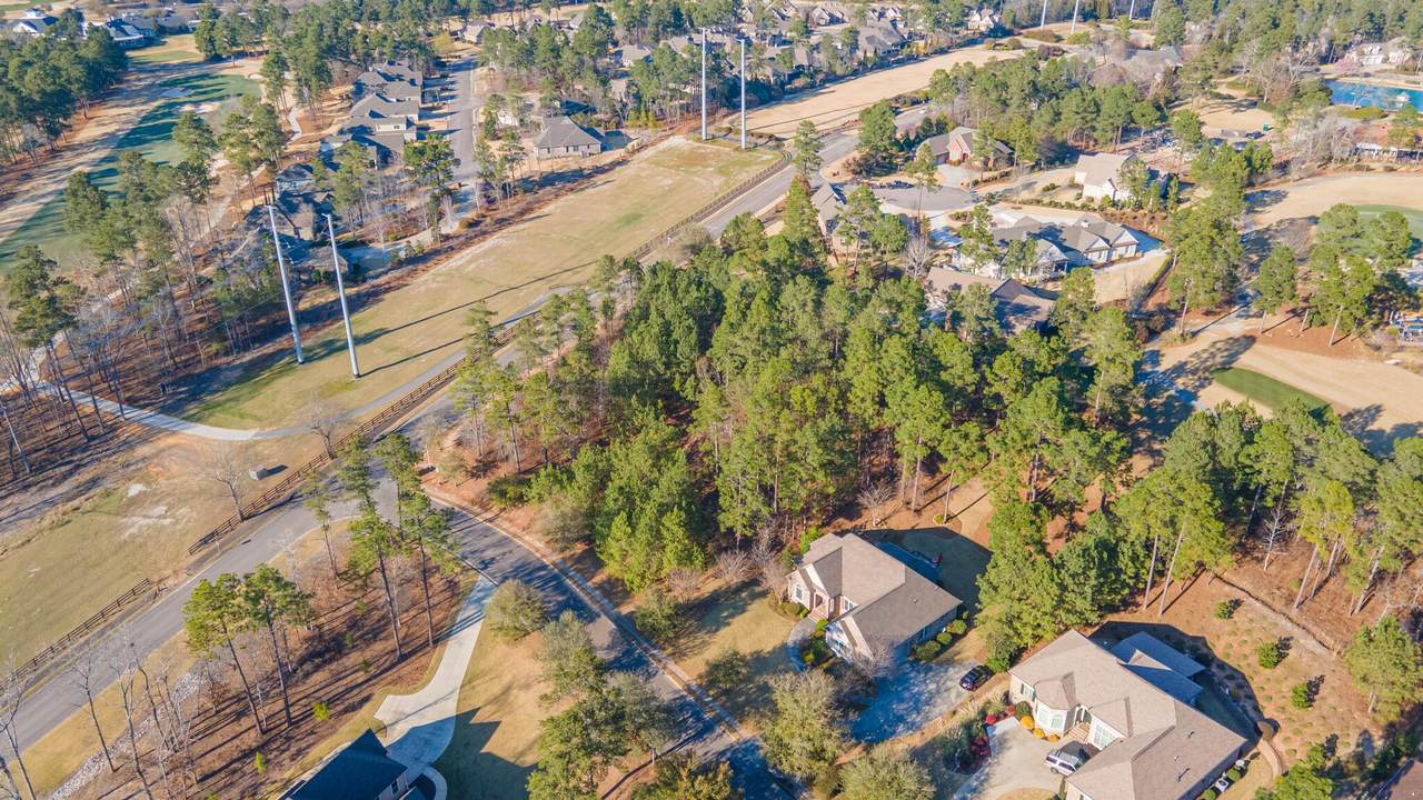 784 Pleasant Colony Drive - Photo 1