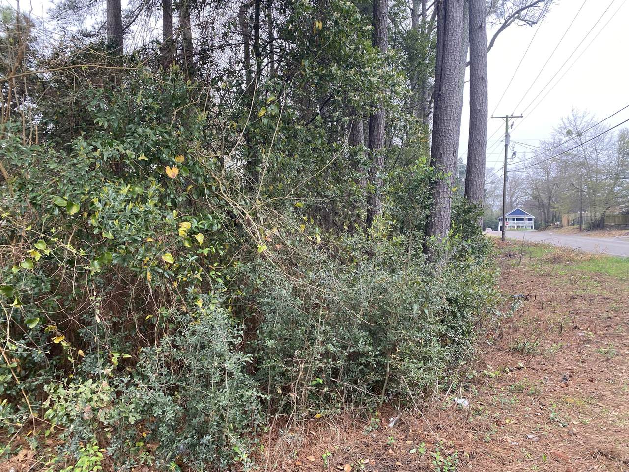 0 Terry Drive - Photo 1