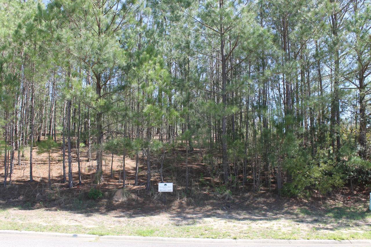 224 Grassy Creek Lane - Photo 1