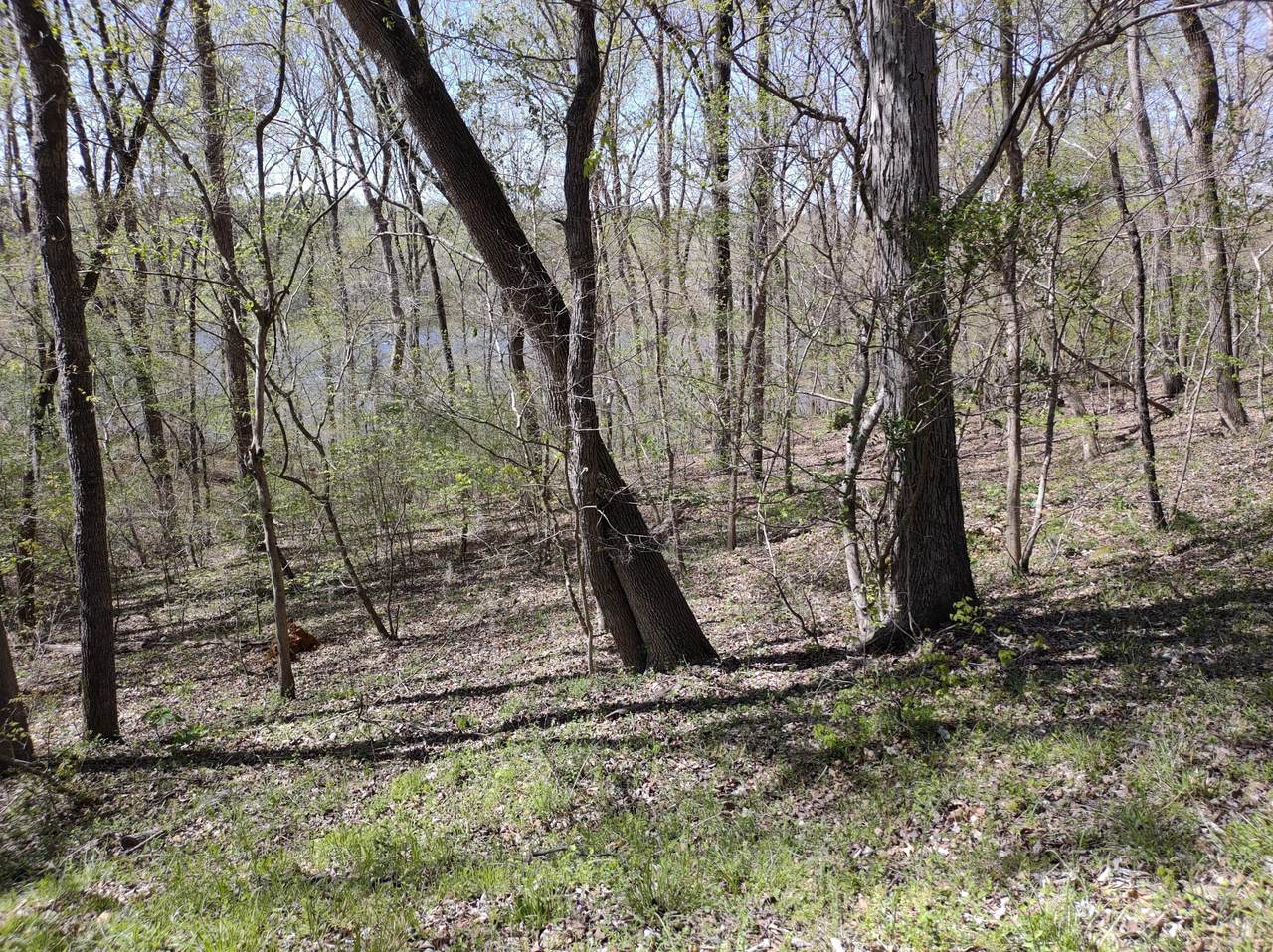 00 Hickory Hill Dr - Photo 1