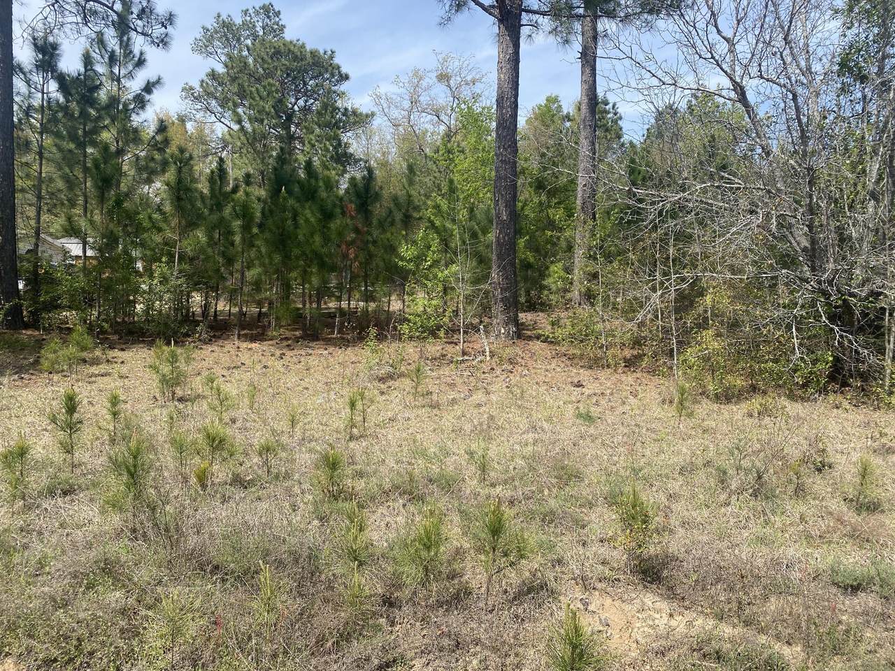 160 Mayfield Road - Photo 1
