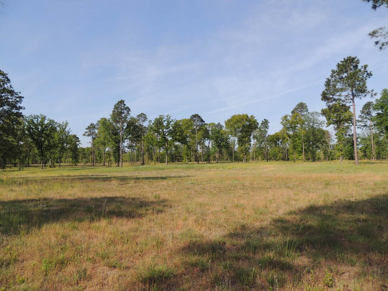 Lot 6-B Paddock Club Parkway - Photo 1