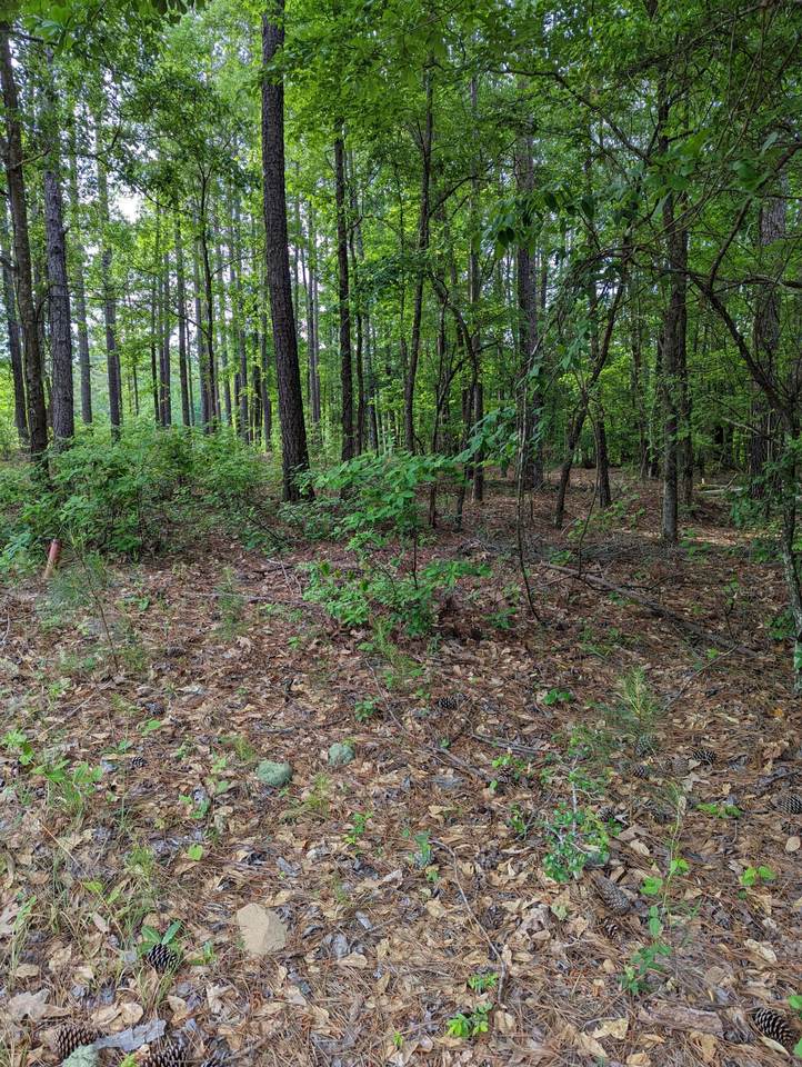 Lot H-06 Savannah Way - Photo 1