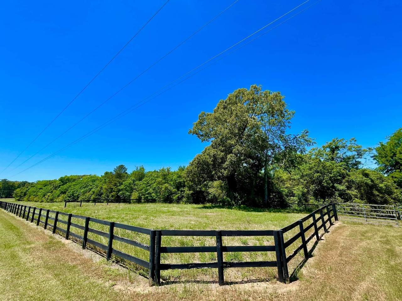 Lot 29 Twin Silos Farms - Photo 1