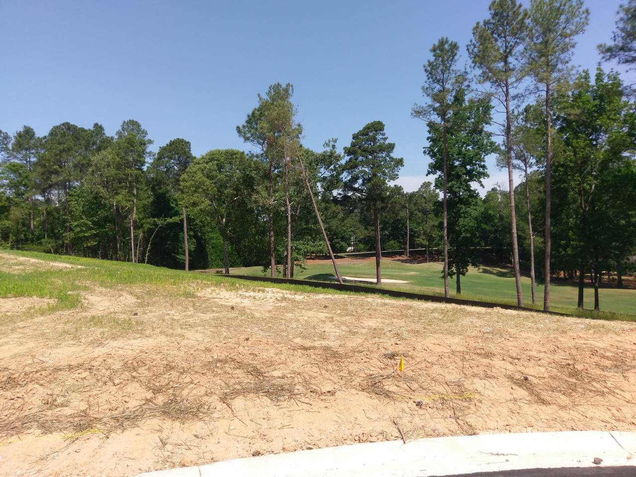 Lot 7 True Cedar Way - Photo 1