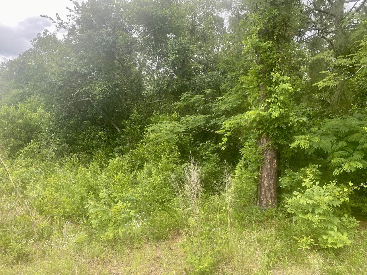 0 South Boundary Avenue - Photo 1