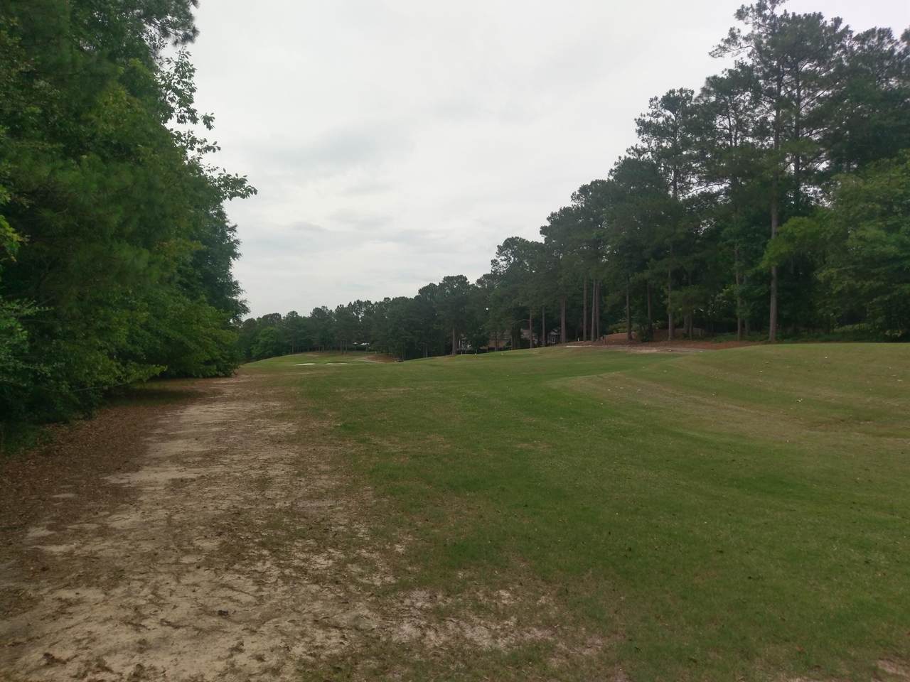 Lot 14 River Birch Road - Photo 1