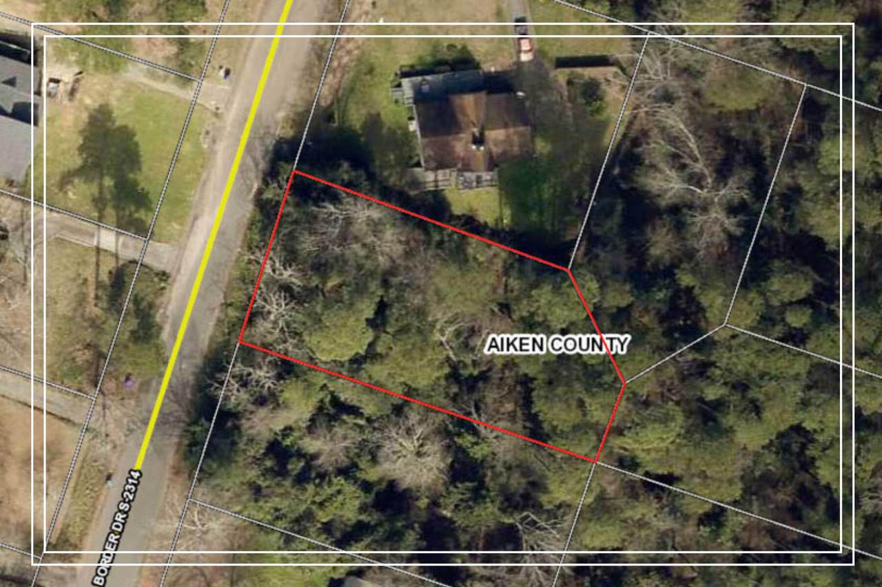 220 Border Drive - Photo 1