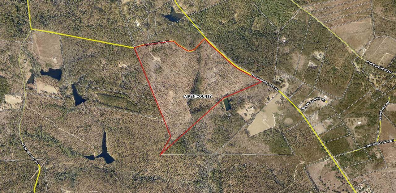 Parcel B Deer Run Road - Photo 1