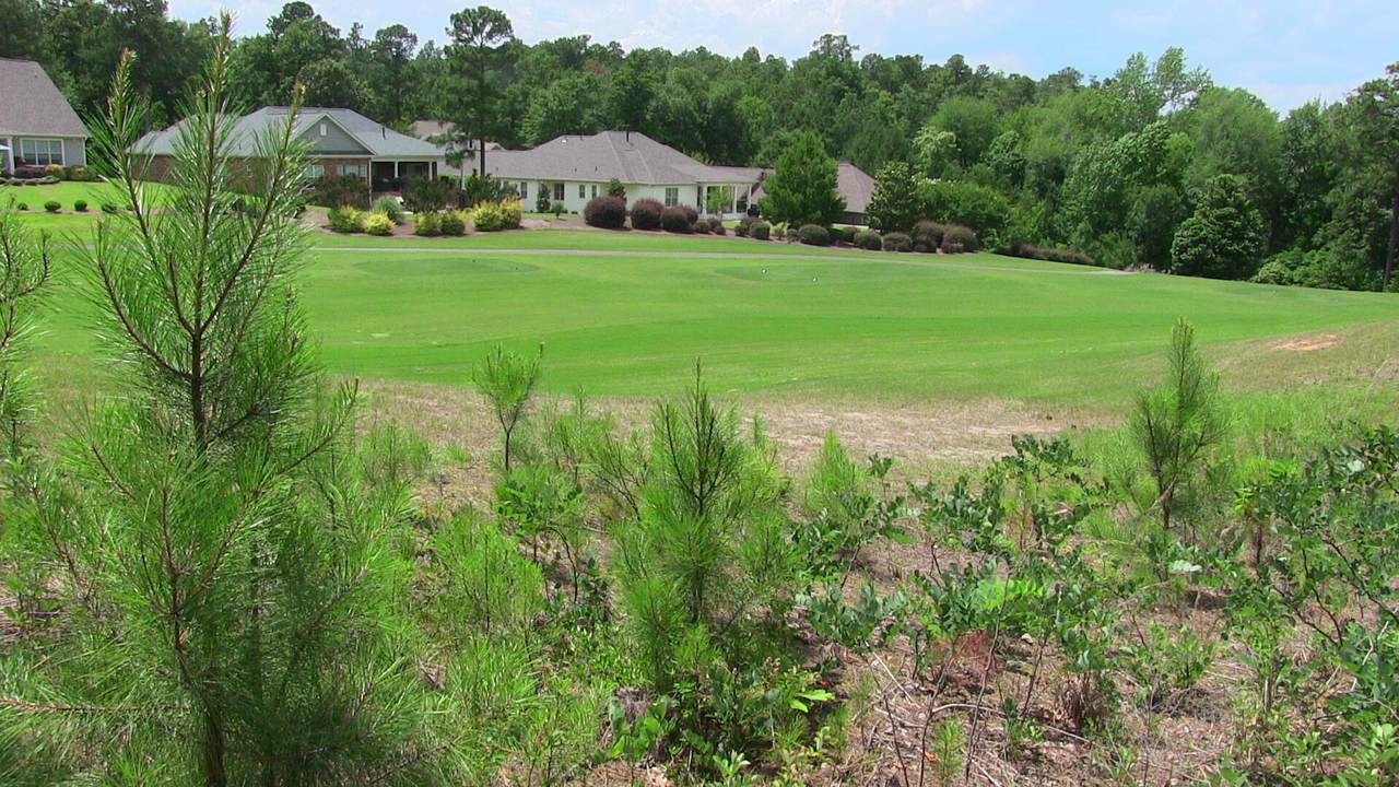 199 Quiet Oak Court - Photo 1