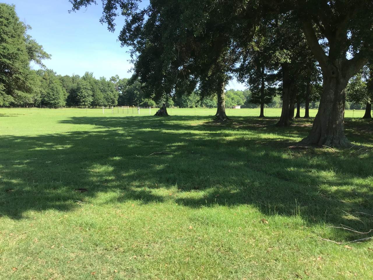 922 Binnicker Road - Photo 1
