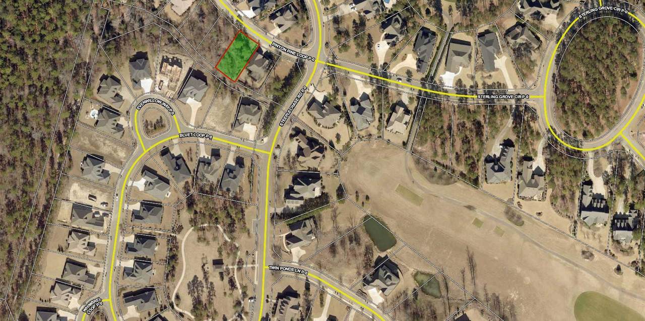 Lot 709 Pinyon Pine Loop - Photo 1