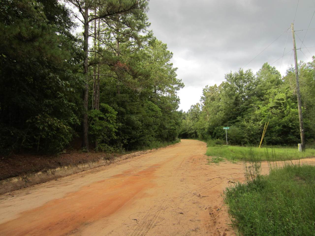 0000 Bluffwood Road - Photo 1