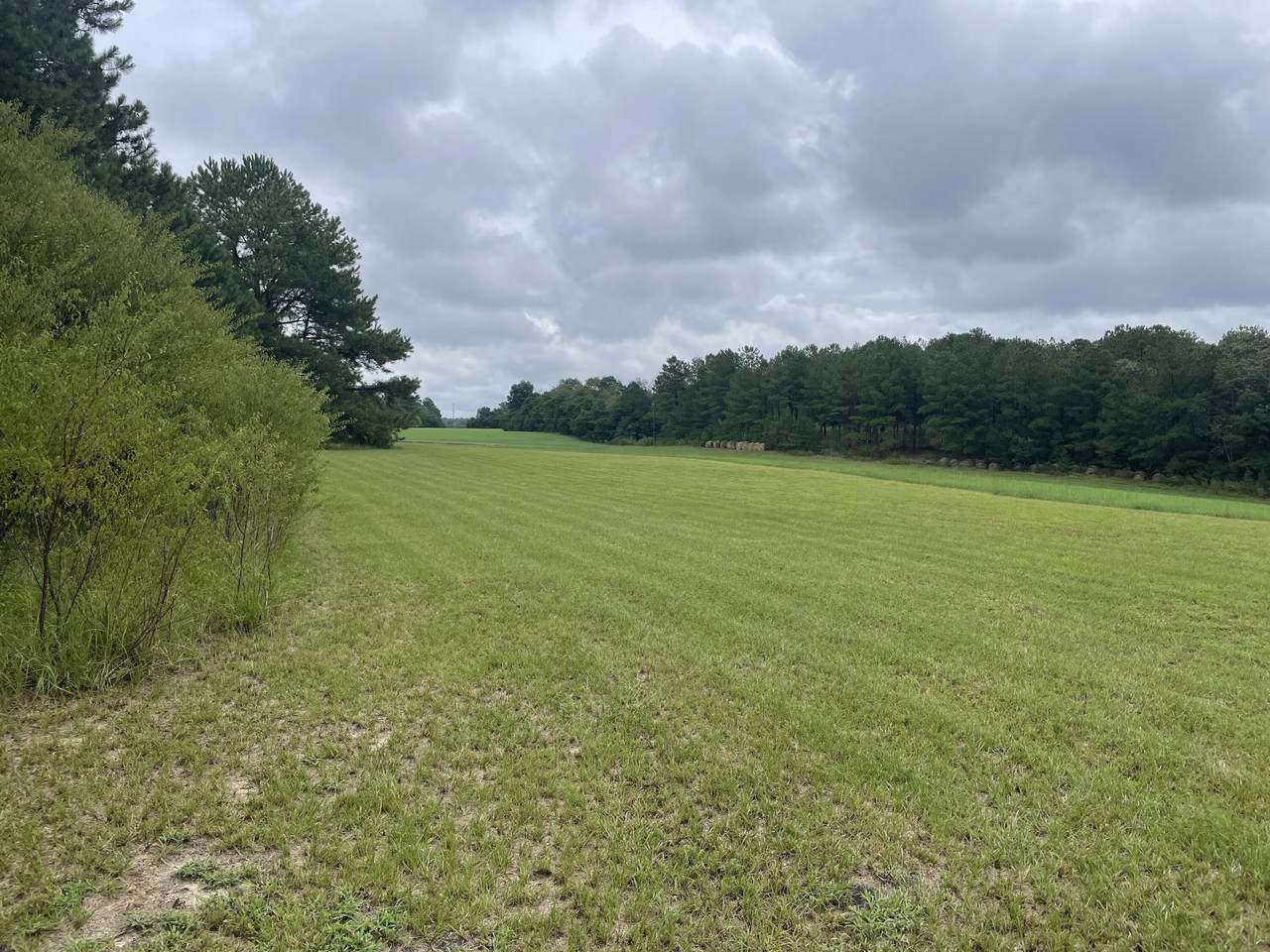 113 Fox Road - Photo 1