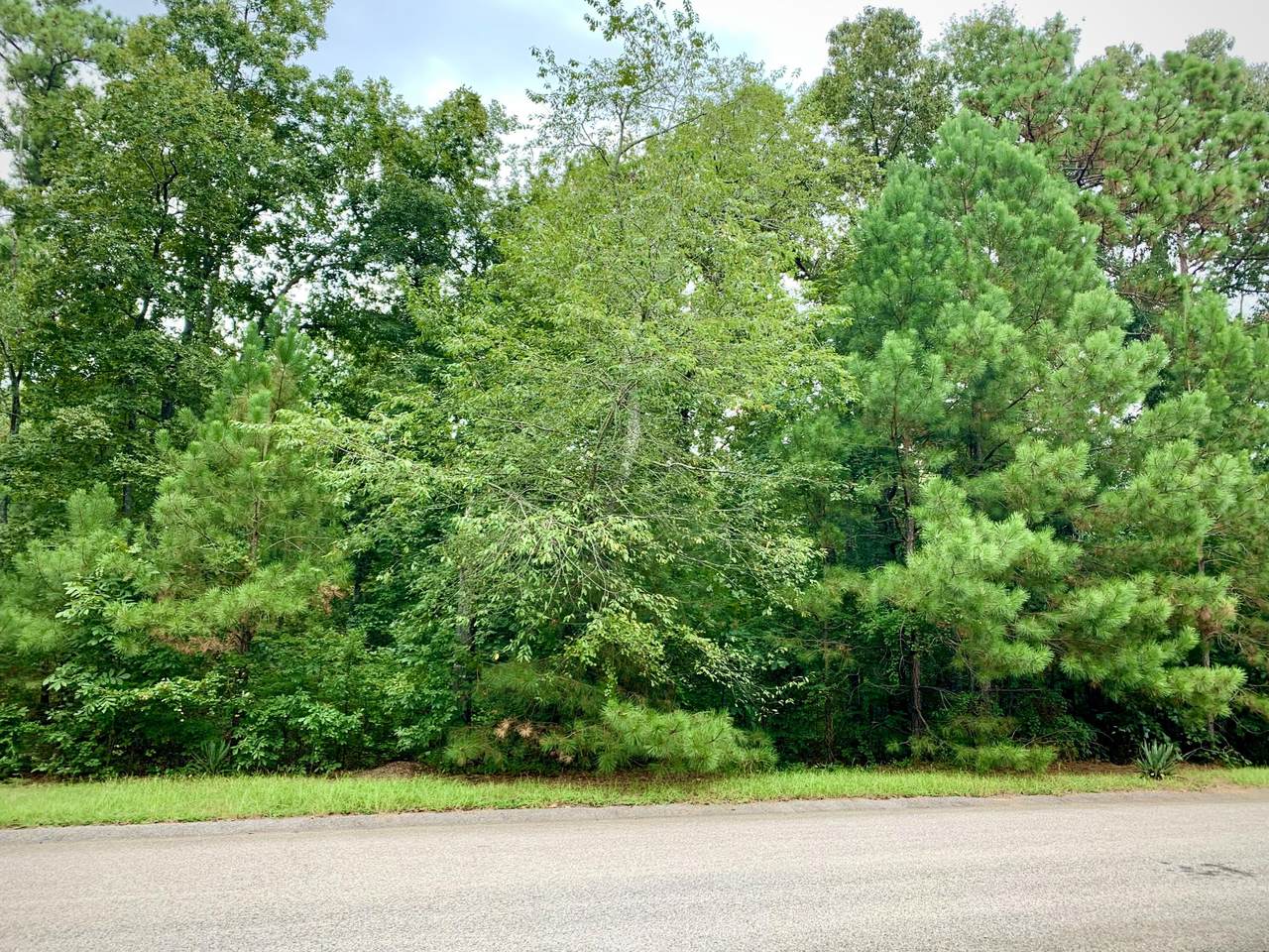 270 Natures Lane - Photo 1