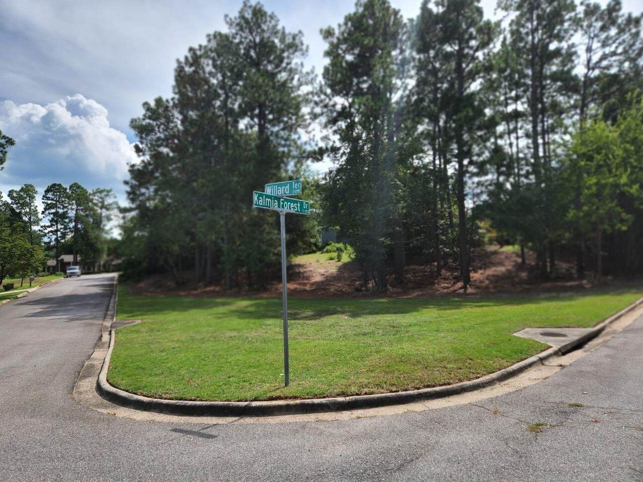 2-C Kalmia Forest Drive - Photo 1