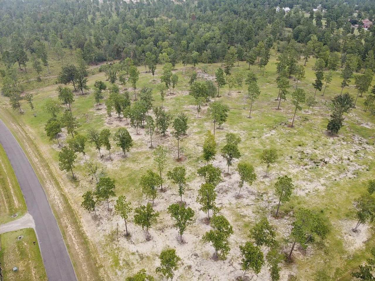 Lot 8a Paddock Club Parkway - Photo 1
