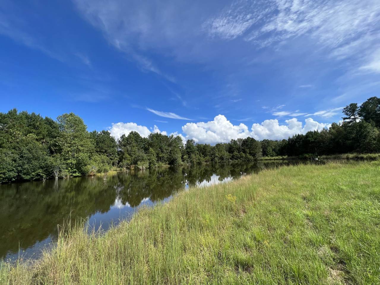 000 Flowing Well Road - Photo 1