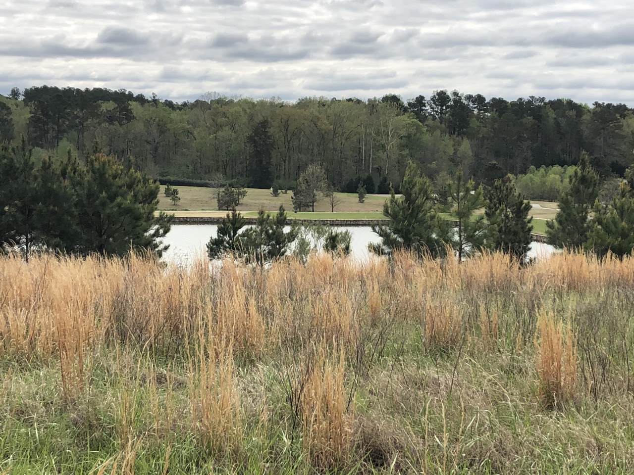 Lot L-11 Militia Loop - Photo 1