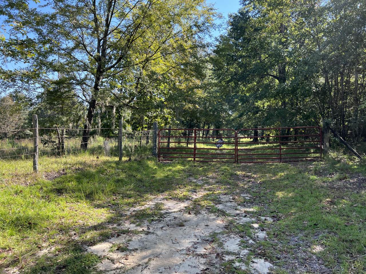689 Hemlock Road - Photo 1