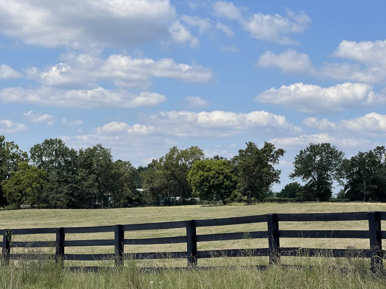 000 Farmfield Road - Photo 1