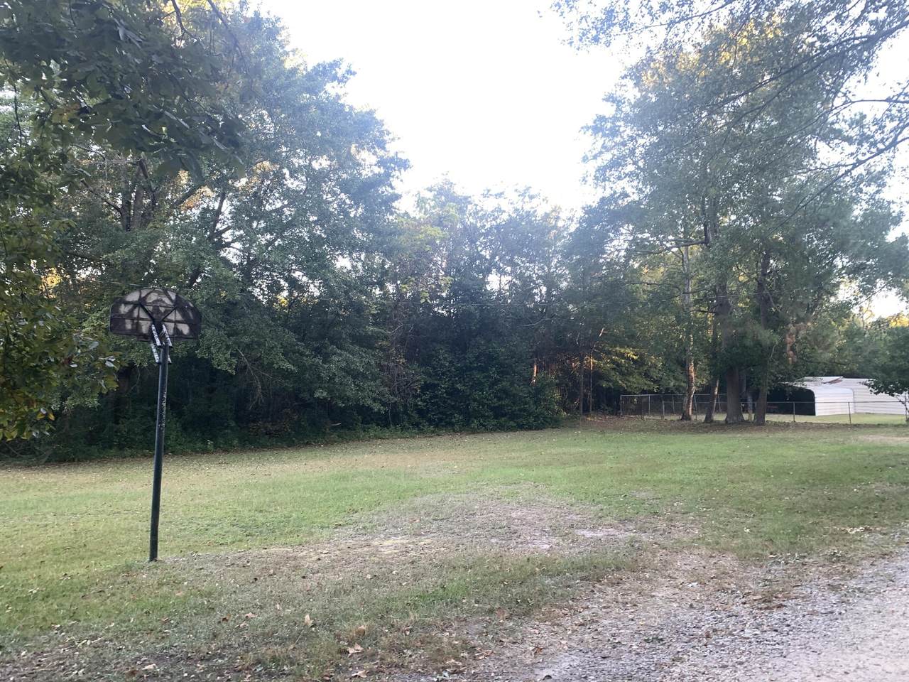 69 Colt Rd Road - Photo 1