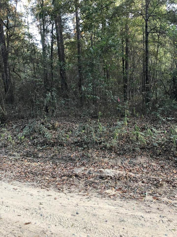 703 Ramsey Road - Photo 1