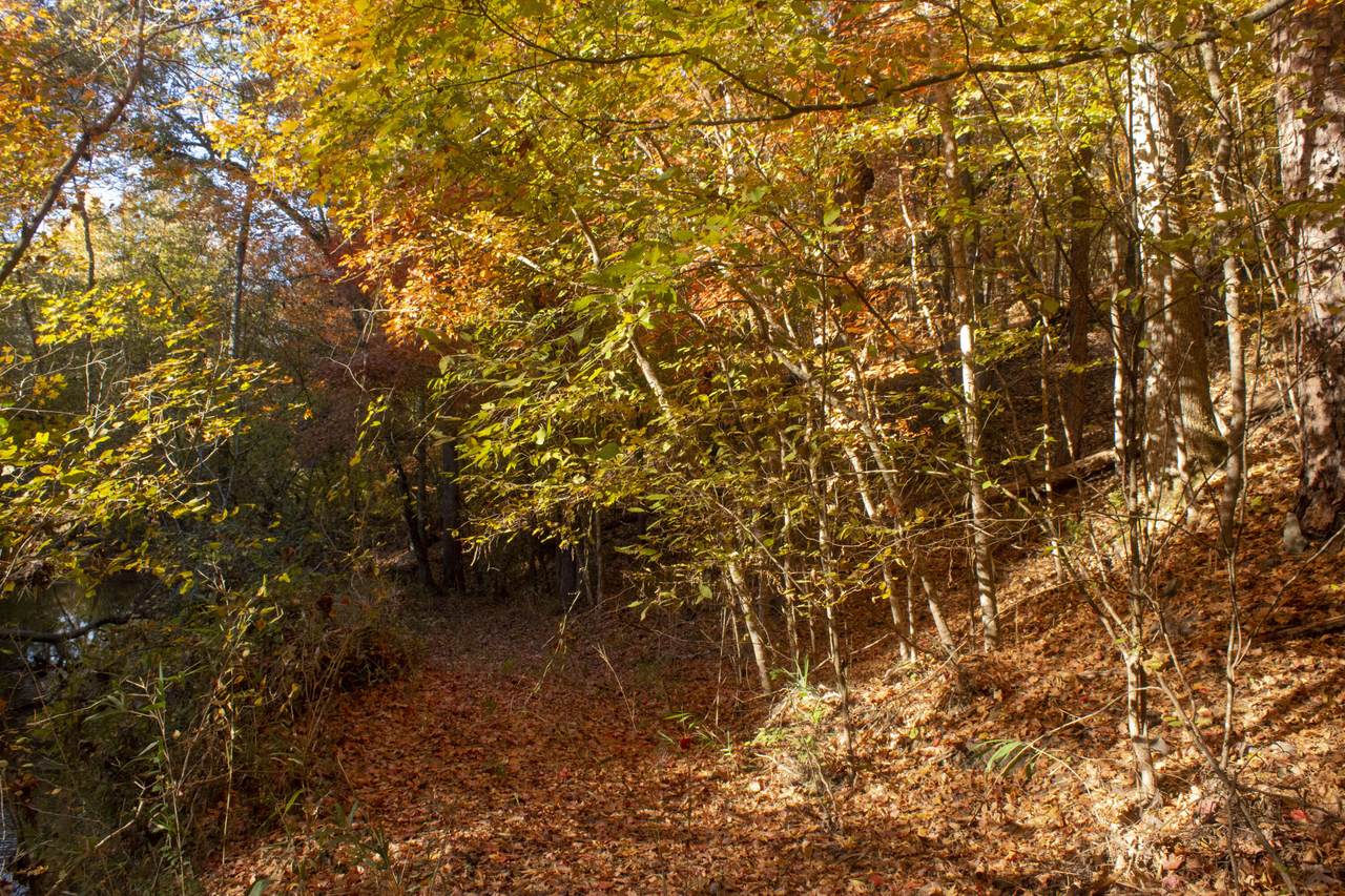 0 Horn Creek Court - Photo 1