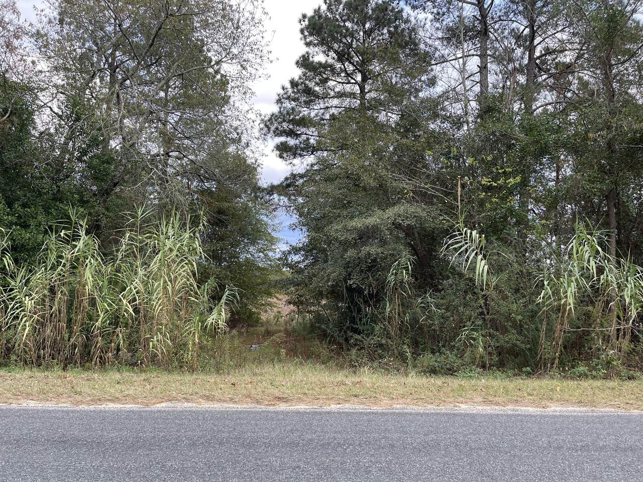 00 Mount Calvary Road - Photo 1