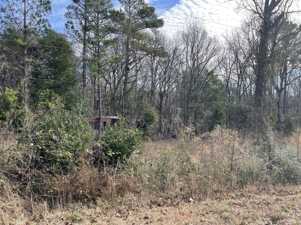 Lot 8 & 9 Atomic Rd - Photo 1
