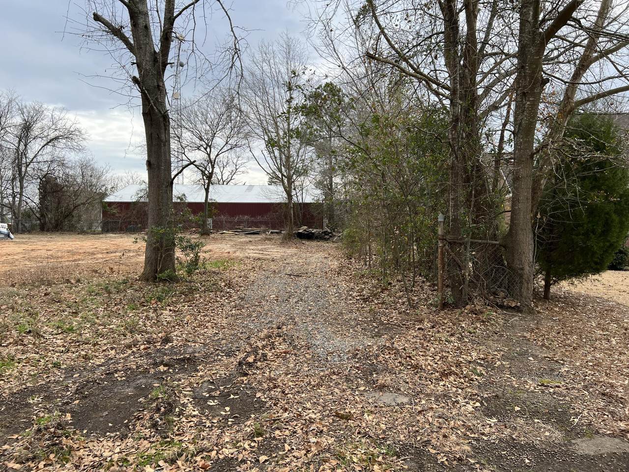 230 Williamsburg Street - Photo 1