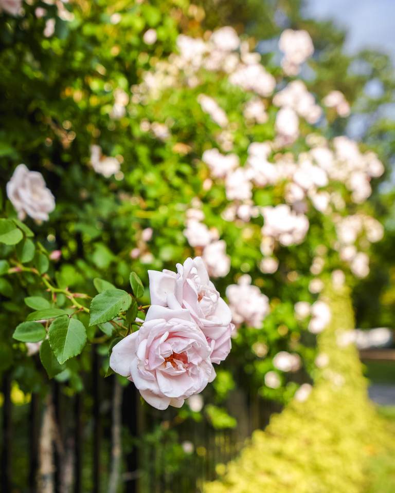 https://bt-photos.global.ssl.fastly.net/aiken2/1280_boomver_1_206682-2.jpg