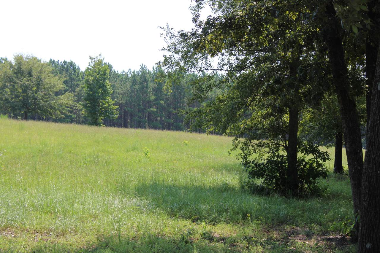 000 Tumbleweed Drive, AIKEN, SC 29805 (MLS 207835) Shannon Rollings