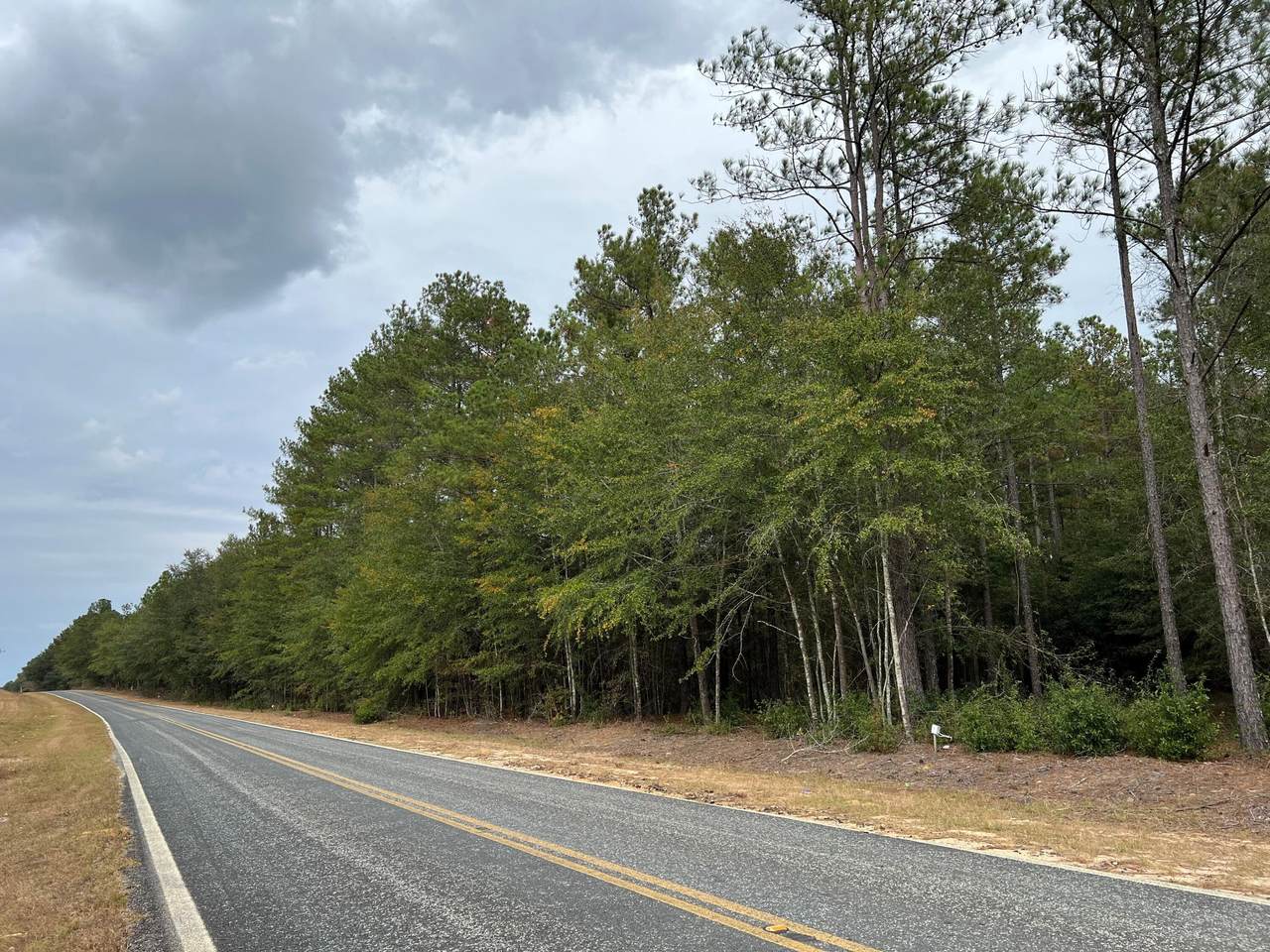 0H4 Honeysuckle Trail, SALLEY, SC 29137 (MLS 209094) Shannon