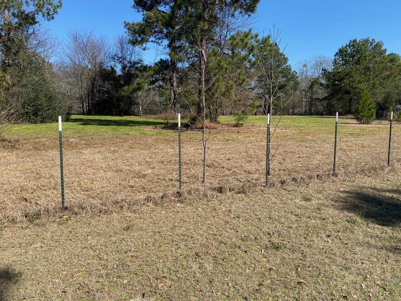 00 Bettis Academy Ext Road, TRENTON, SC 29847 (MLS 210414) Shannon