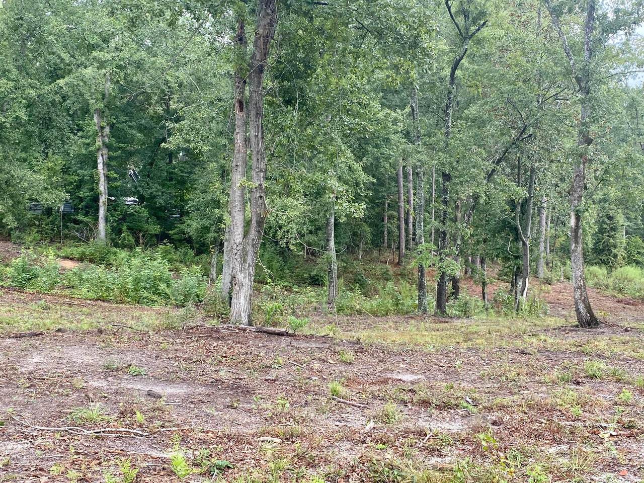 164 Snipes Road, AIKEN, SC 29801 (MLS 210469) Shannon Rollings Real