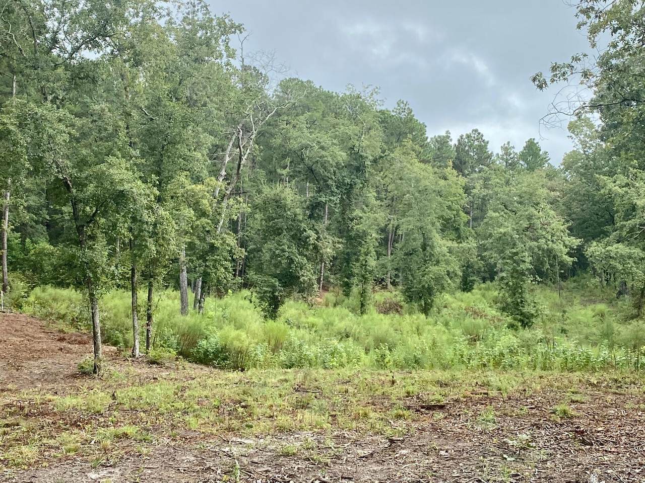 164 Snipes Road, AIKEN, SC 29801 (MLS 210469) Shannon Rollings Real