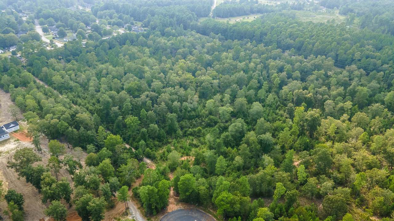 Lot9 Barrington Farms Drive, AIKEN, SC 29803 (MLS 211190) Shannon