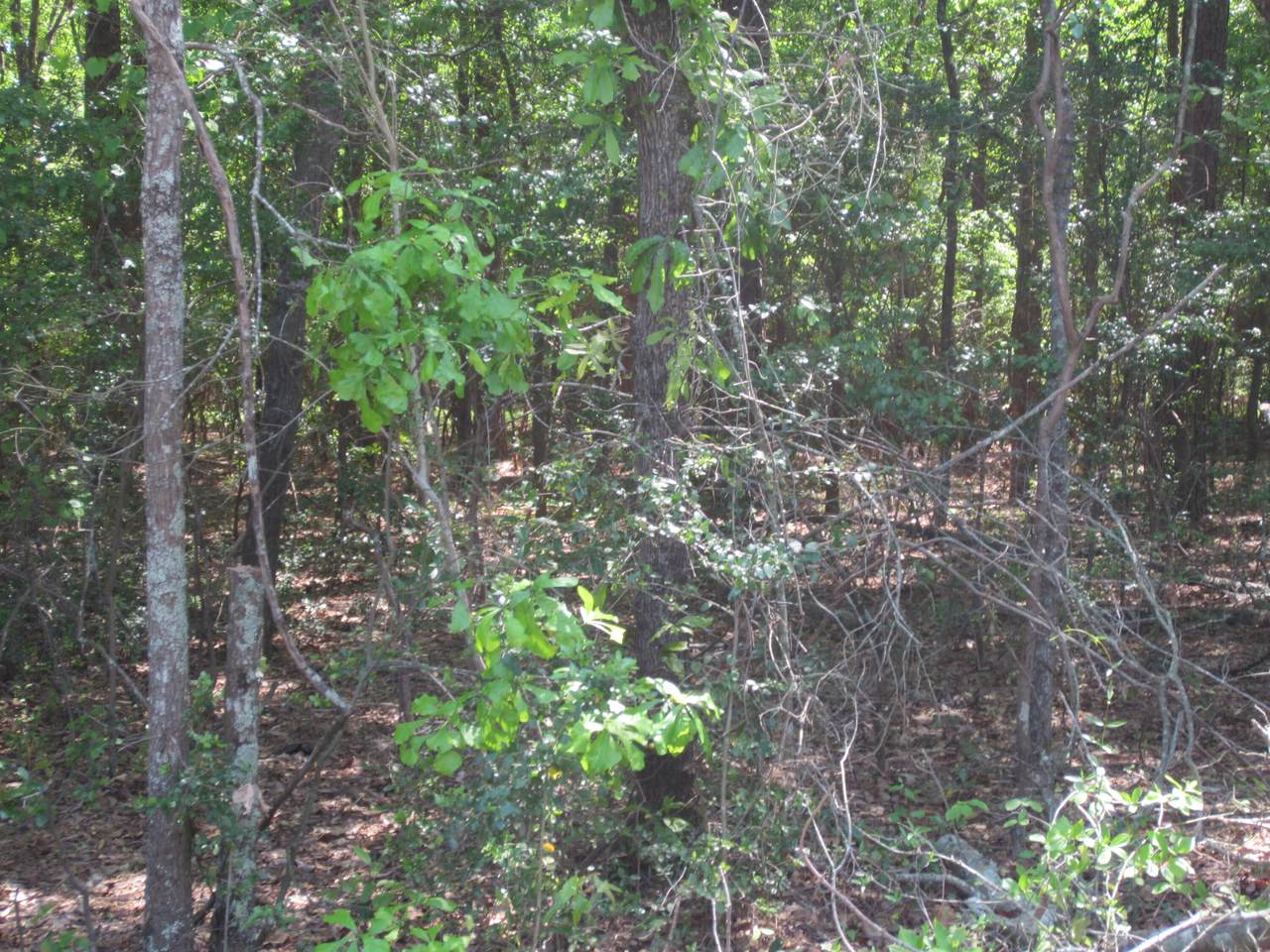 Lot 4 Snipes Road, AIKEN, SC 29801 (MLS 211344) Shannon Rollings