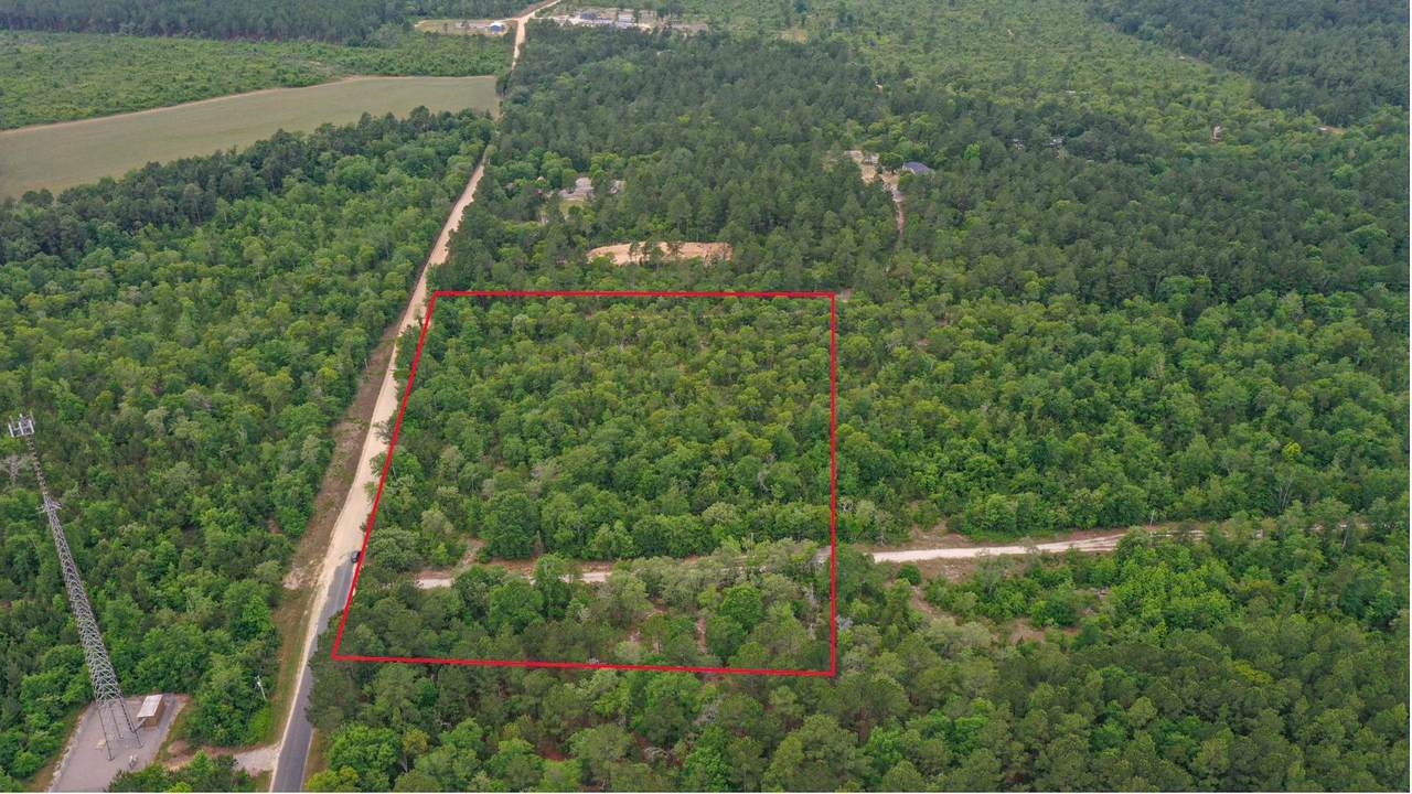 03 Old Shoals Road - Photo 1