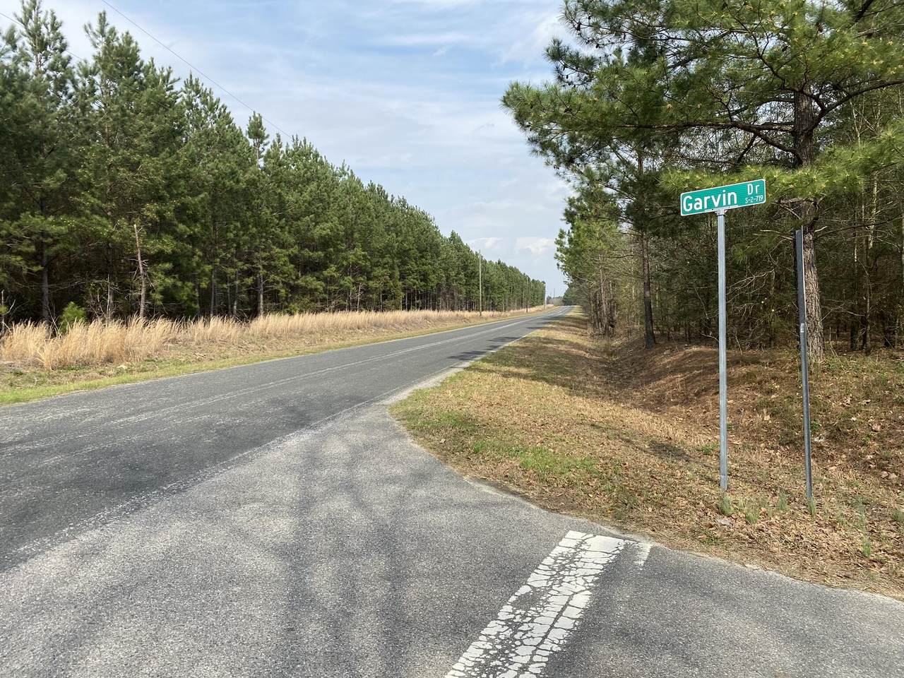 Lot 10 - Collum Pond Road - Photo 1