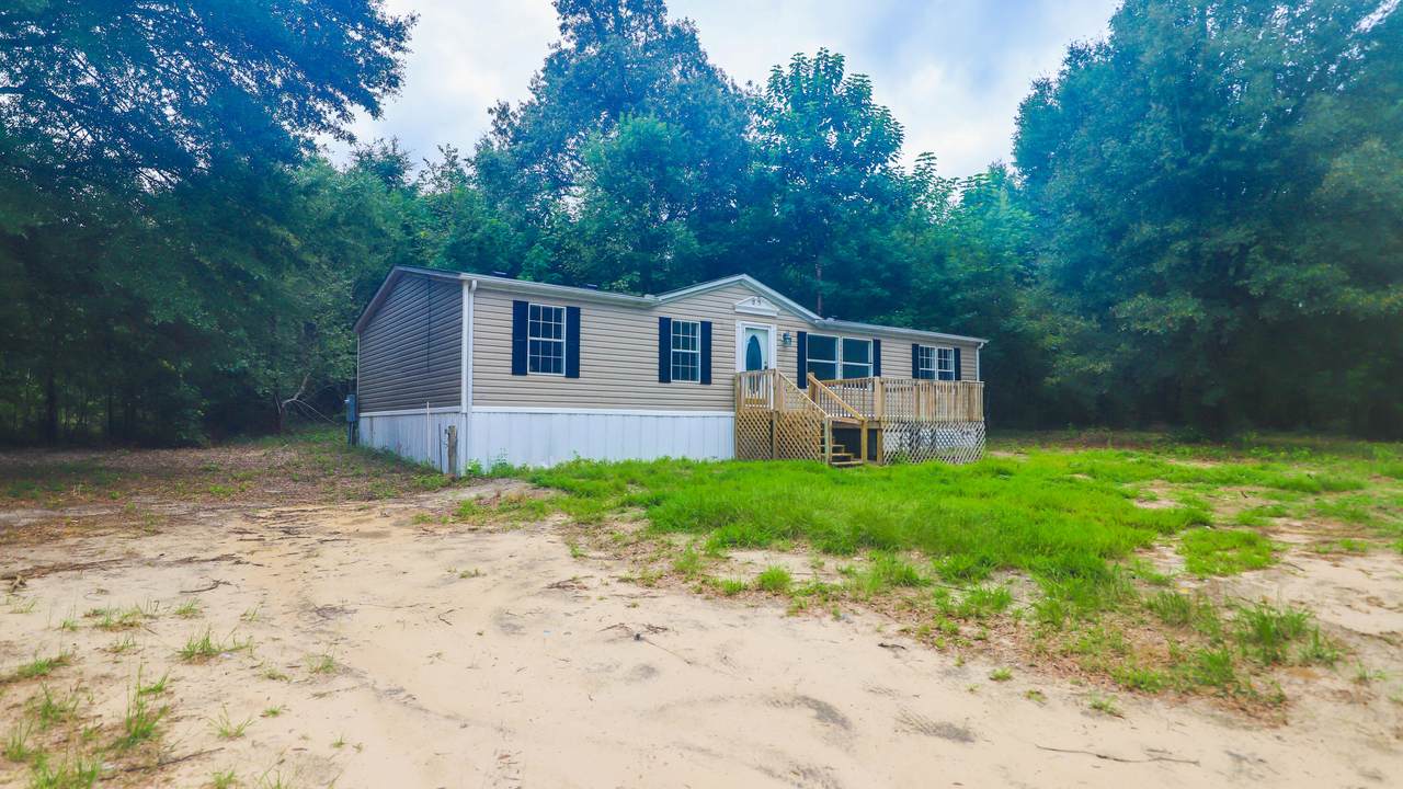 459 Holiness Church Road - Photo 1
