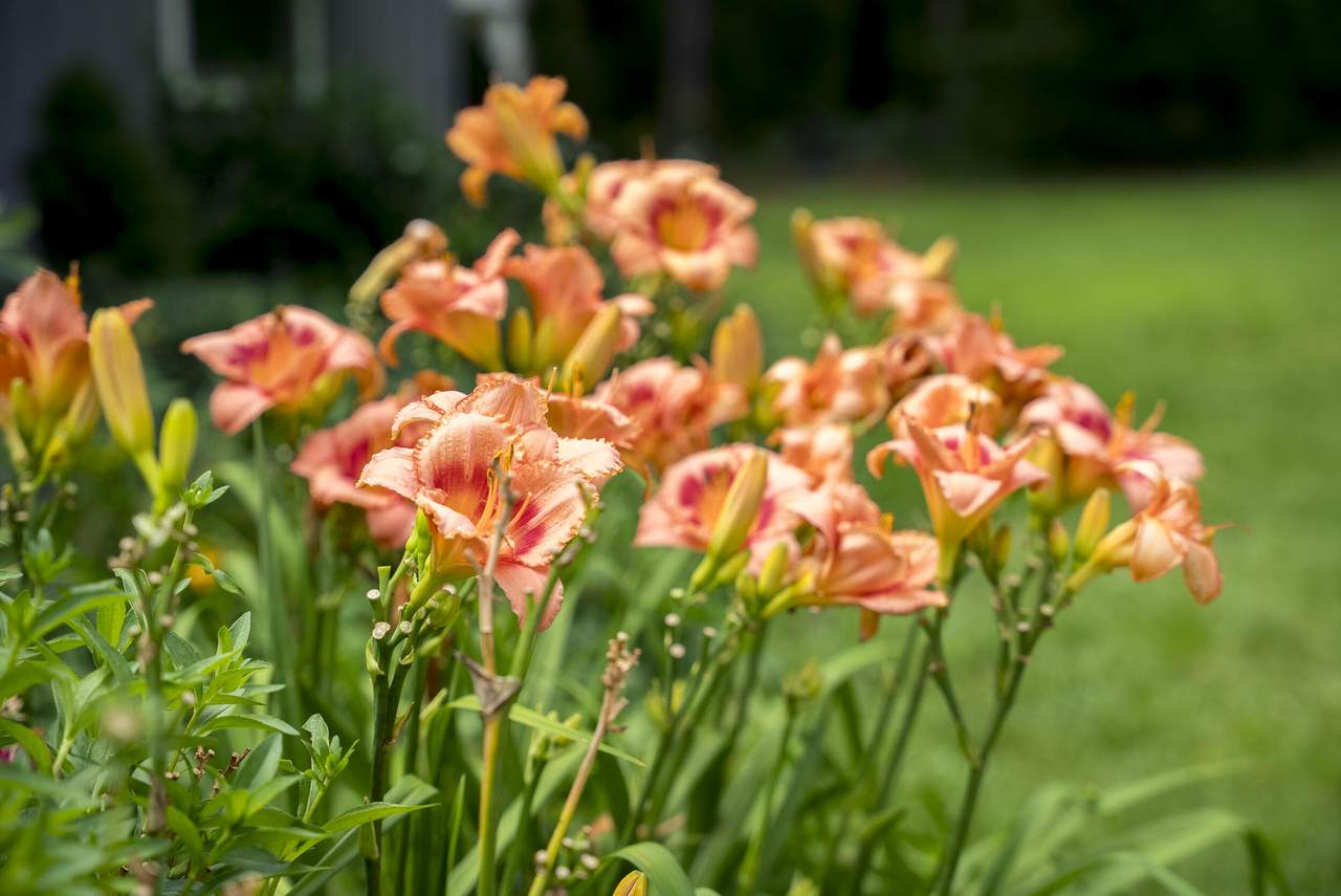 https://bt-photos.global.ssl.fastly.net/aiken2/1280_boomver_1_214303-2.jpg