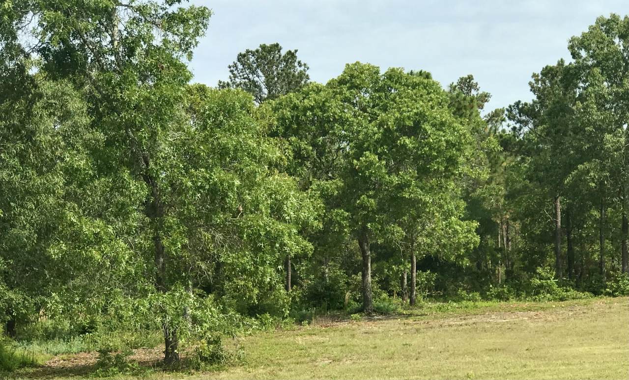 0 Shell Stone Trail - Photo 1