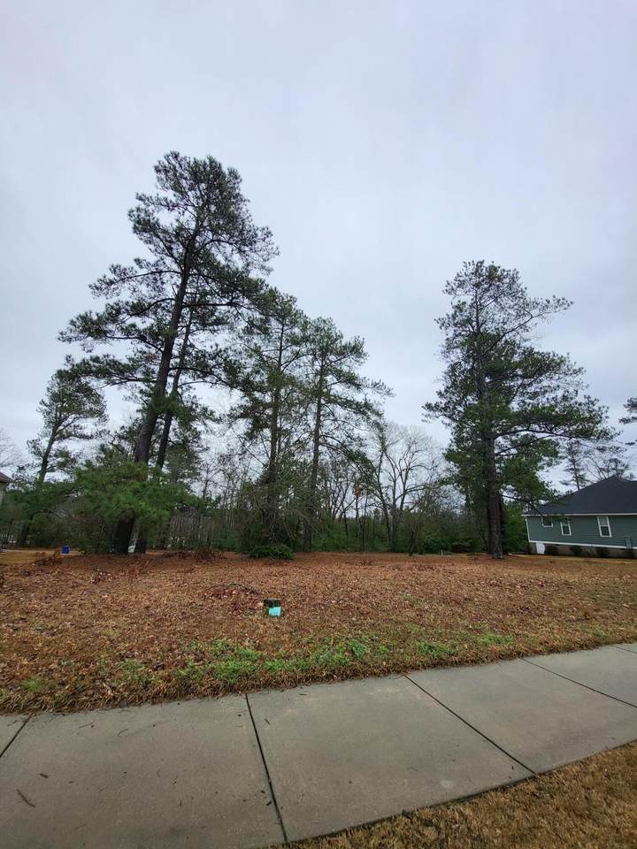0 Pinckney Pl - Photo 1