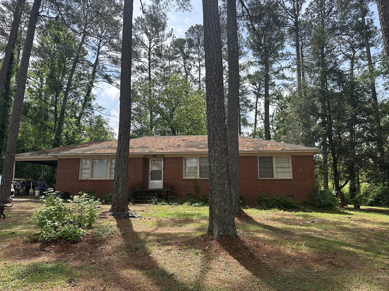 1018 Beatty Road Road - Photo 1
