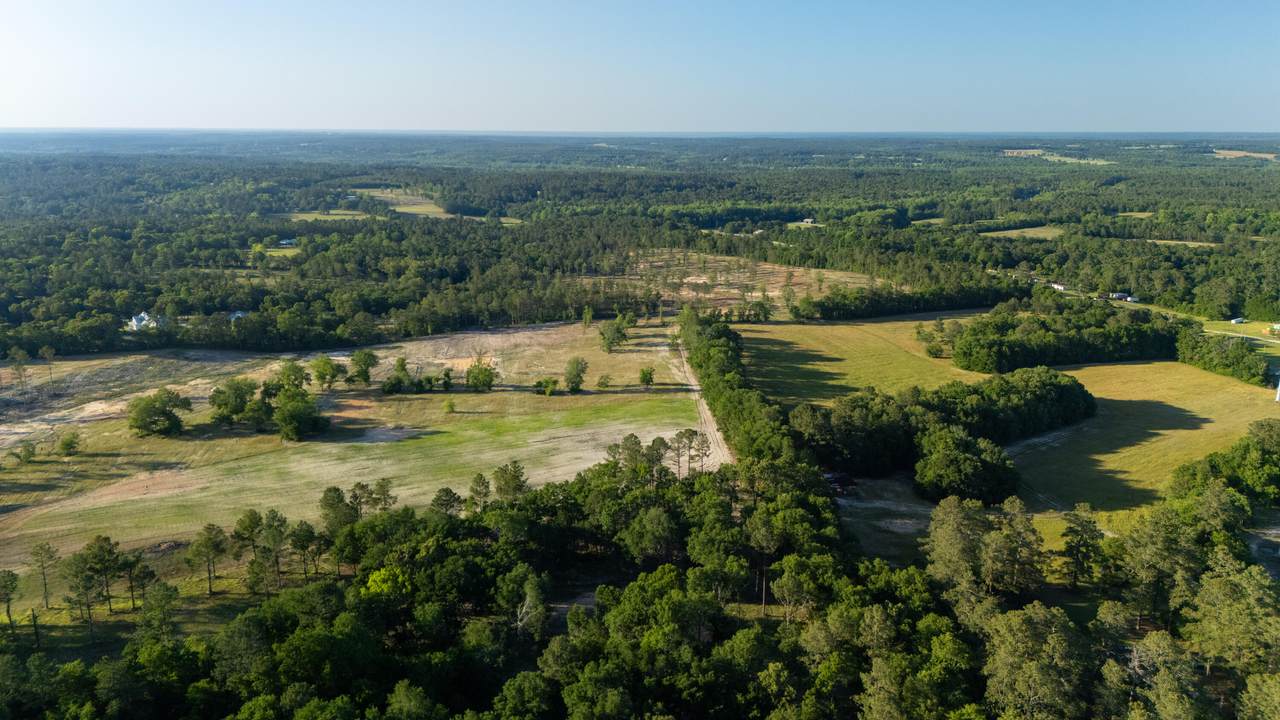 2897 Wagener Road - Photo 1