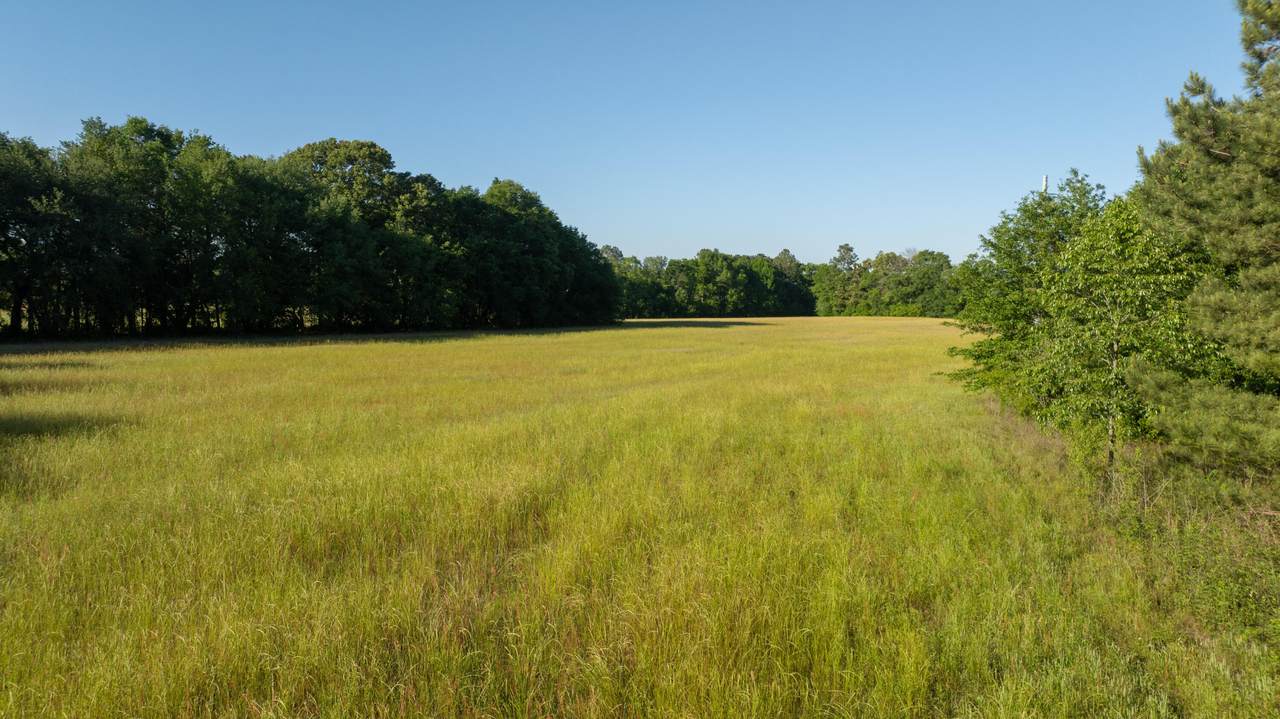 https://bt-photos.global.ssl.fastly.net/aiken2/1280_boomver_1_217360-2.jpg